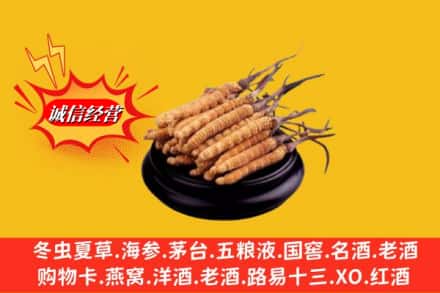 大连西岗区求购回收虫草多少钱每克